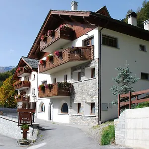 Larice Bianco Campodolcino